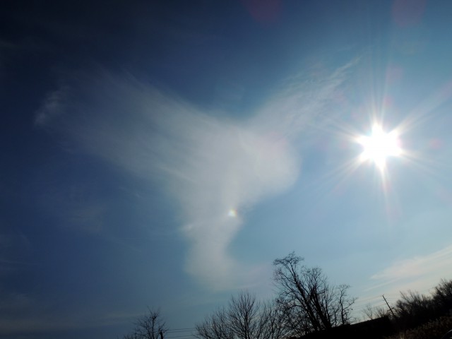 2012/12/15 ＮＹ近郊の公園へ行くようにという天の声に呼ばれたので、行ってみて空を見上げていたら、大きなエンジェル雲が現れました。