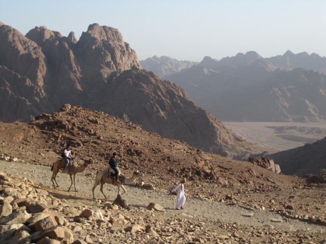 2010/9/30 エジプトのシナイ山へ、ご来光を見に山頂へ。その帰りに見かけたラクダに乗って下山する人たち。