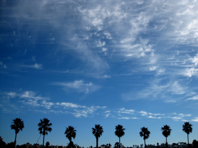 2010/1/10 ＬＡにて、雲がユニークだったので撮影してみたら、ヤシの木といい感じに。