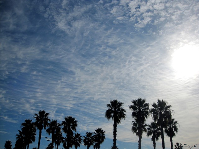 2010/1/10 LAの空、網の目のように細かい雲が太陽の周りに広がっていた。