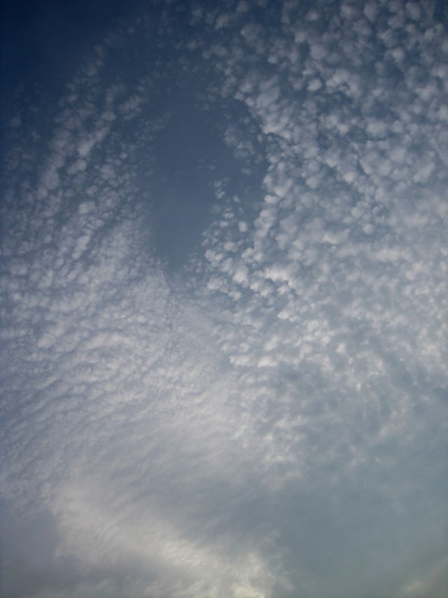 2011/8/11 これほどまでに美しい鱗雲は見たことがなく、渦巻き鱗雲と名付けた。