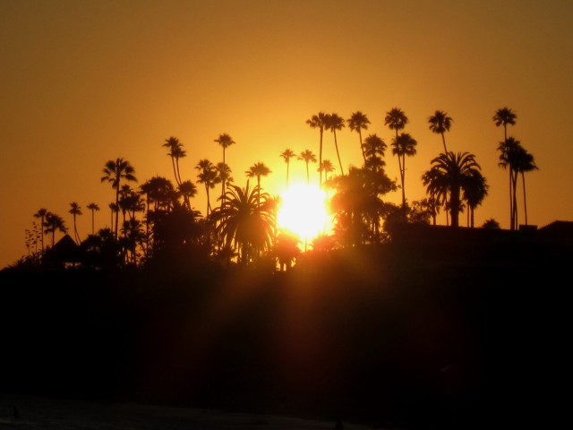2011/7/16 サンディエゴの海岸にて、ヤシの木々に沈みゆく美しい夕陽